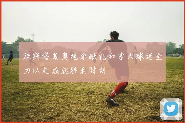 欧斯塔基奥绝杀献礼加拿大球迷全力以赴成就胜利时刻
