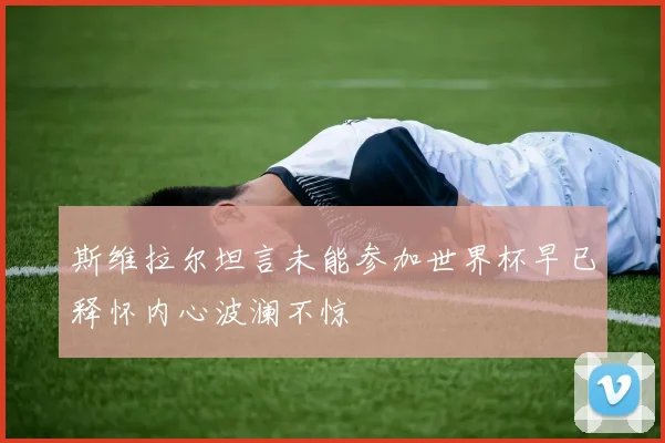 斯维拉尔坦言未能参加世界杯早已释怀内心波澜不惊